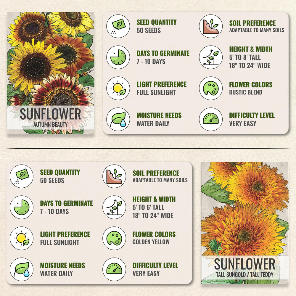 All six sunflower seed packets arranged together