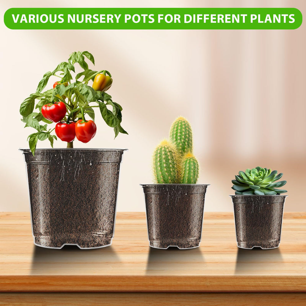 All sizes of auriikoop clear nursery pots on display