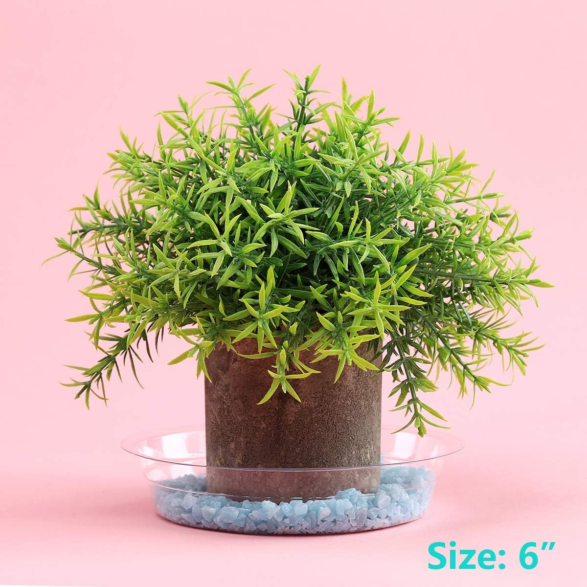 All sizes of UltraOutlet Clear Plant Saucers together