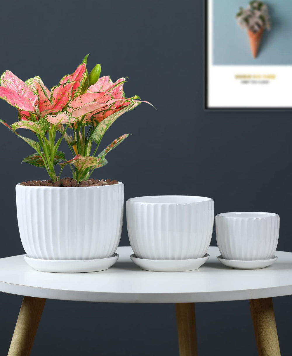 All three sizes of Ton Sin White Ceramic Flower Pots together
