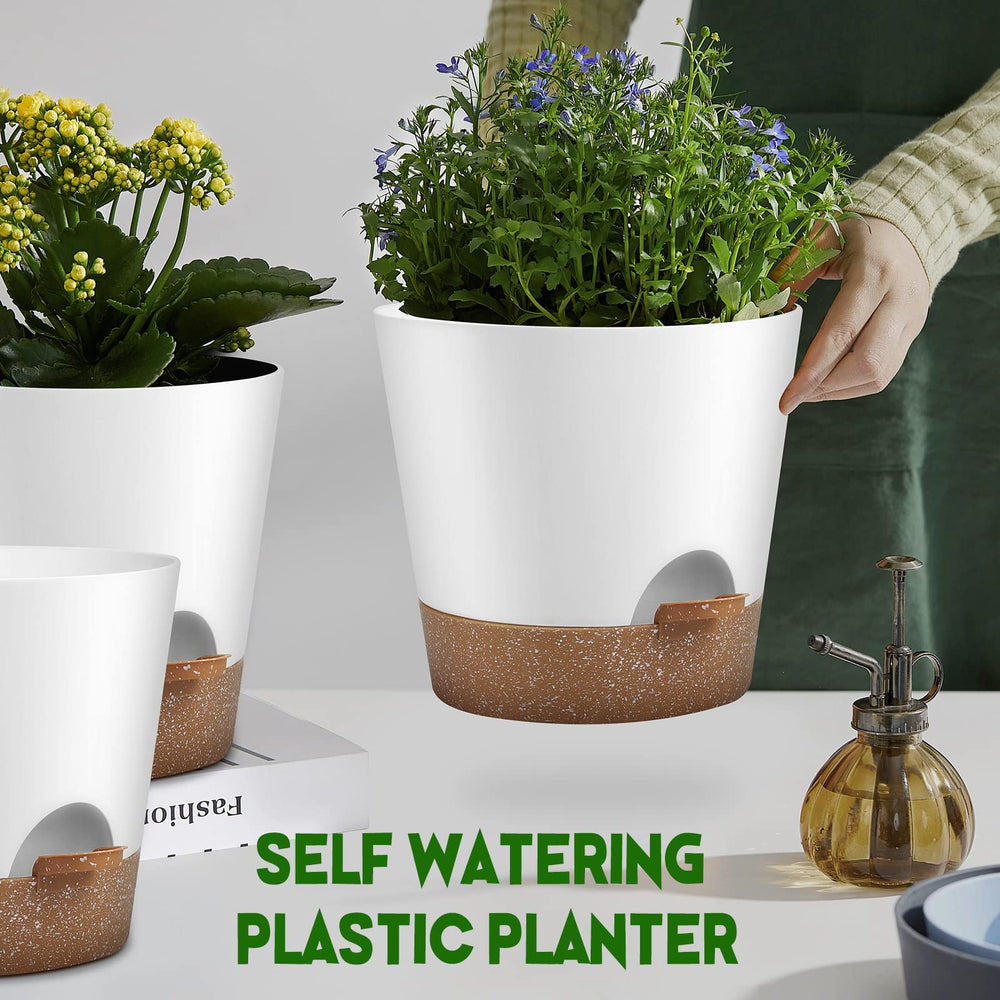 All three sizes of YNNICO self watering pots arranged together