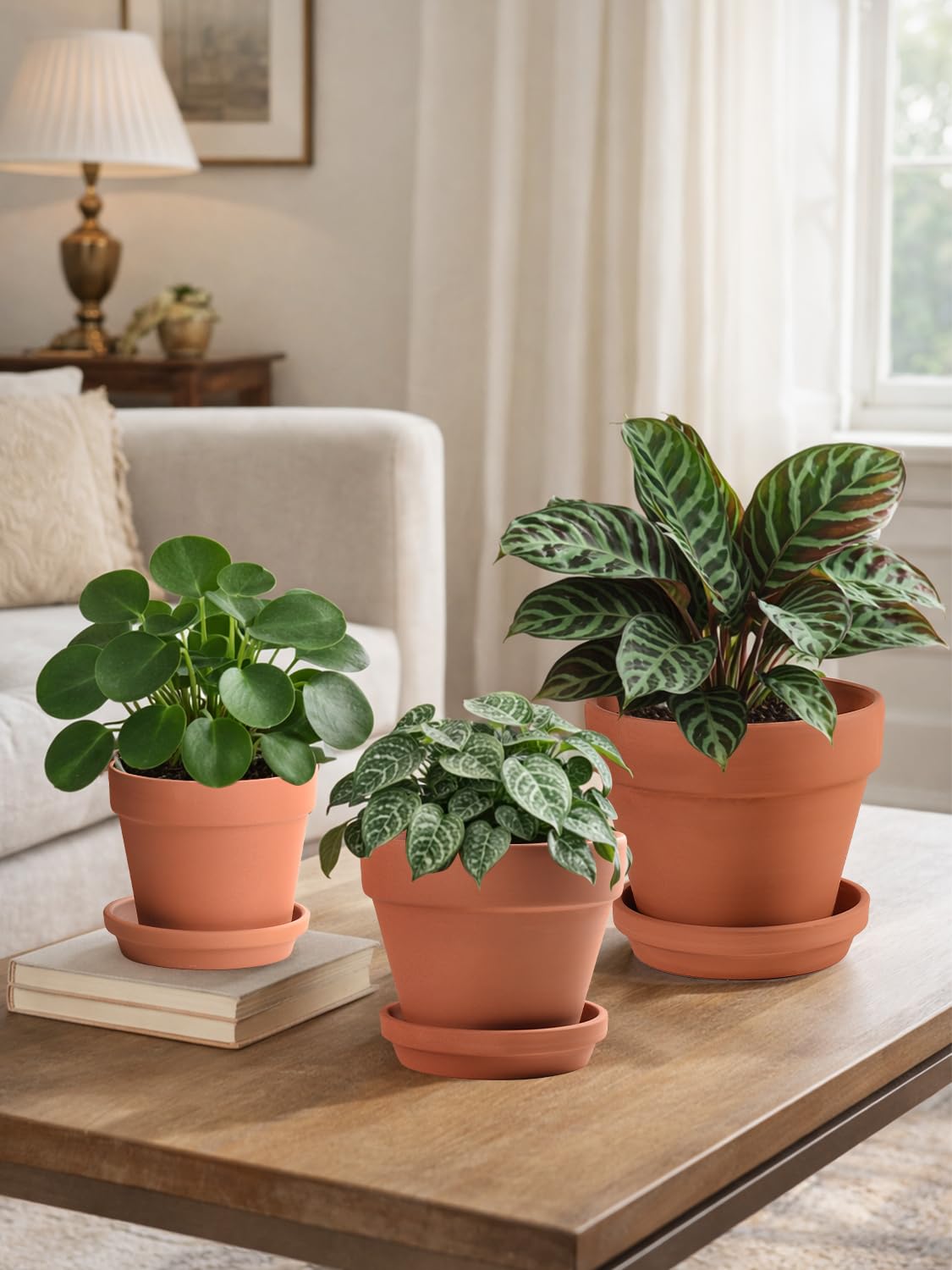 All three terracotta pots set displayed together