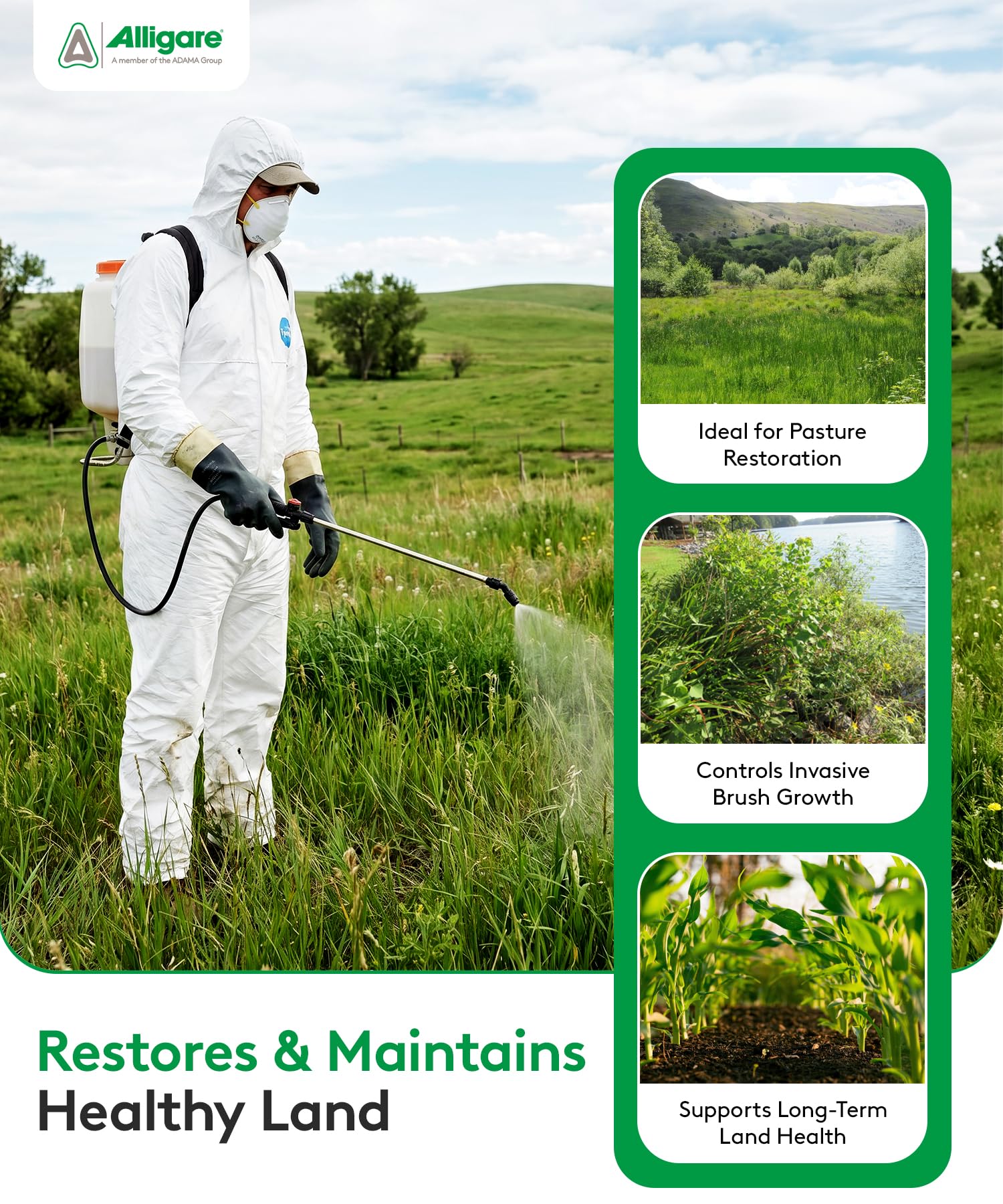 ALLIGARE Triclopyr Herbicide 1 Gallon used in a forest setting