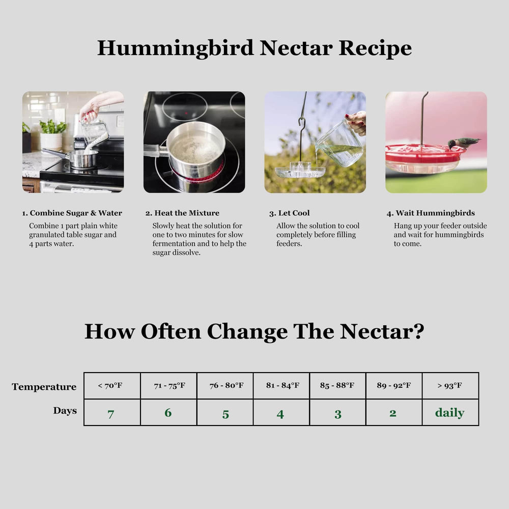 allslotx Hummingbird Feeder clear nectar reservoir