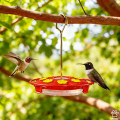 allslotx hummingbird feeder with included cleaning brushes
