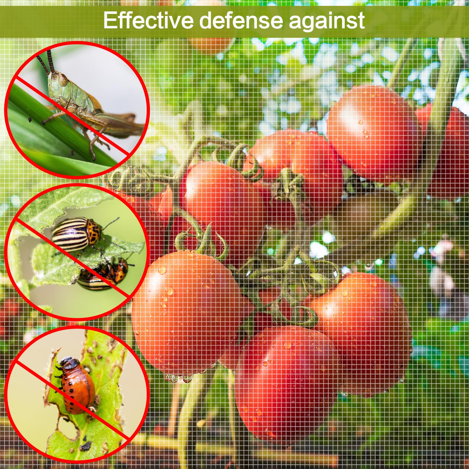 Alphatool garden netting in use protecting vegetables in a garden