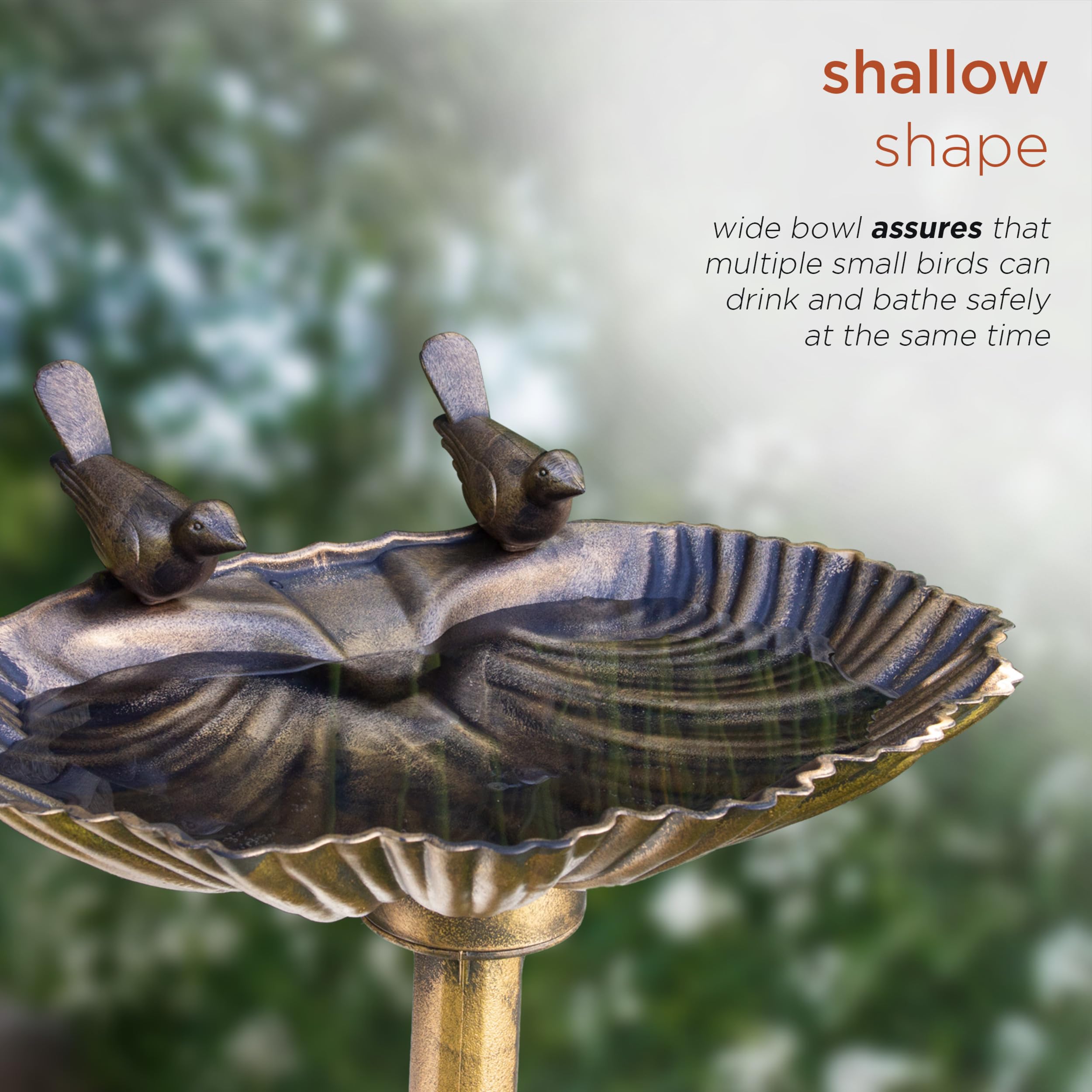 Alpine Birdbath with water filled in shallow bowl