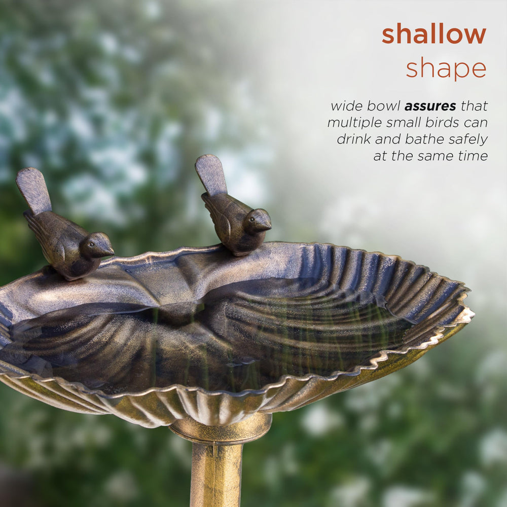 Alpine Birdbath with water filled in shallow bowl
