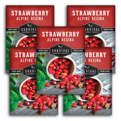 Alpine Regina strawberry seeds front packaging view