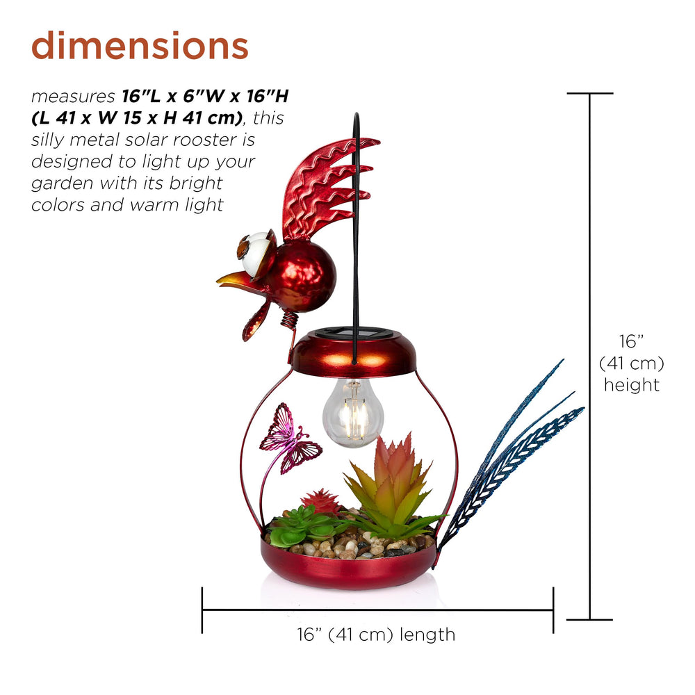 Alpine Solar-Powered Rooster packaging display