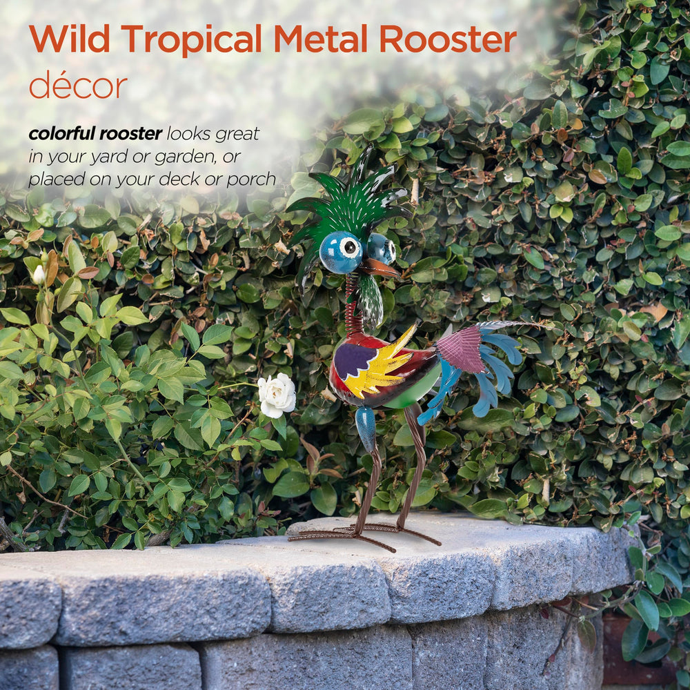 Alpine Tropical Rooster Statue displayed in a garden setting