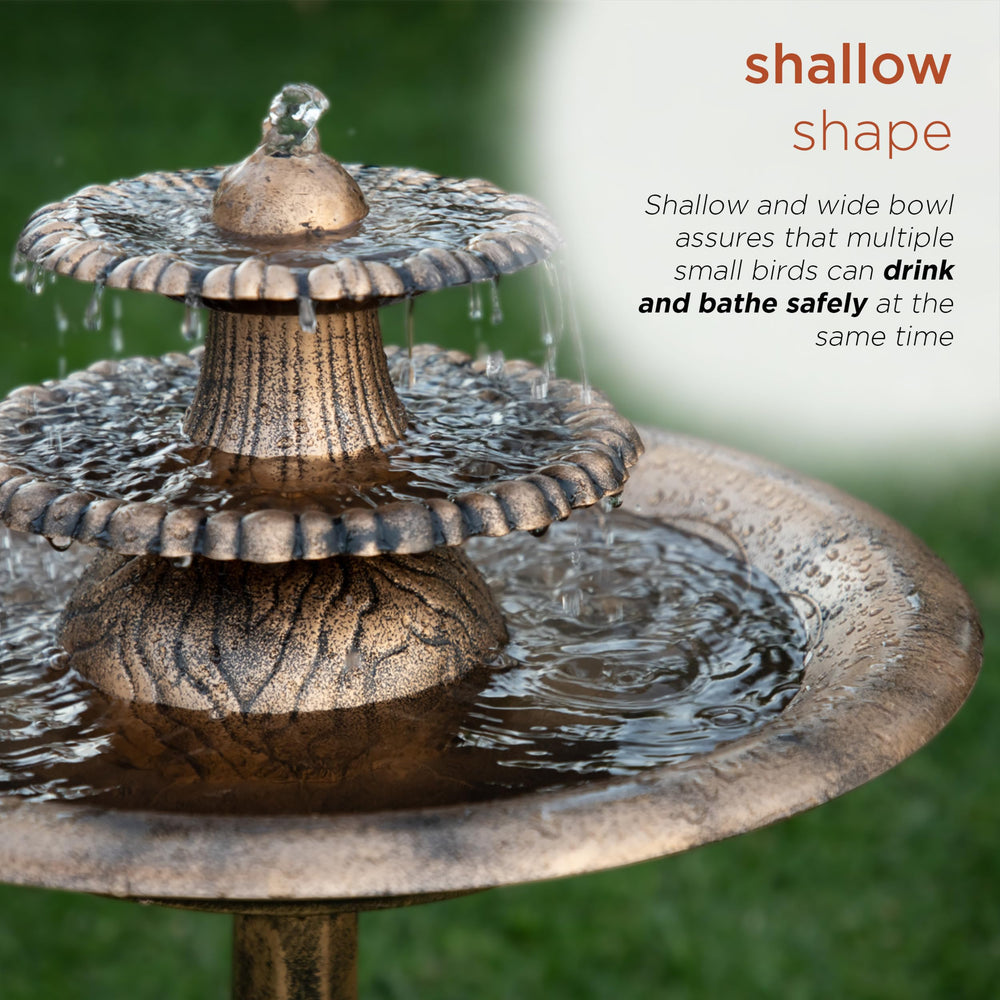 Alpine water fountain in outdoor setting with birds