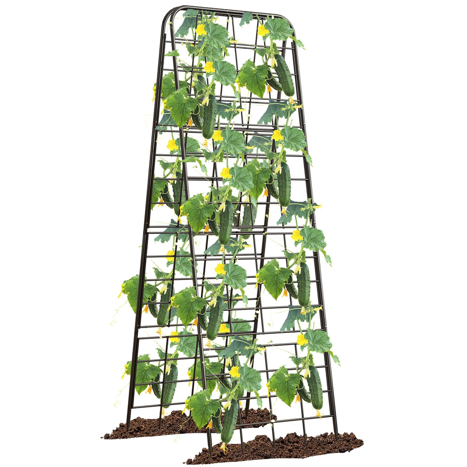 Alxcellion Adjustable A-Frame Trellis 50"x17" front view