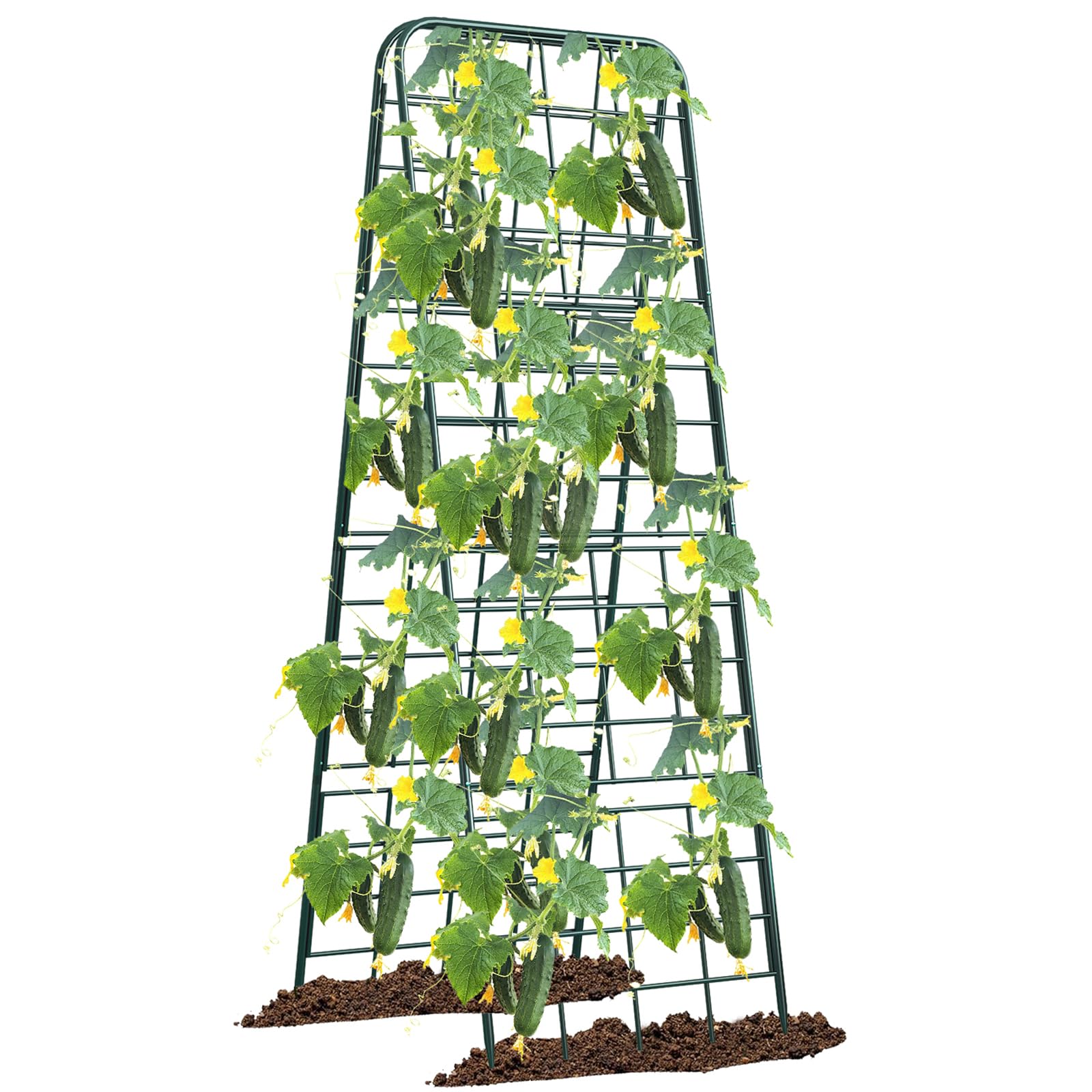 Alxcellion Heavy Duty Adjustable A-Frame Trellis front view