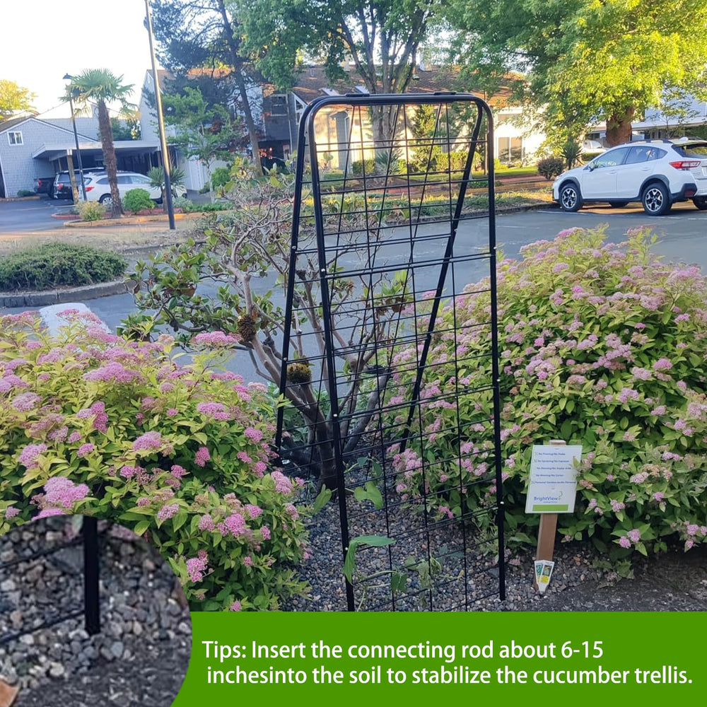 Alxcellion trellis collapsed for storage