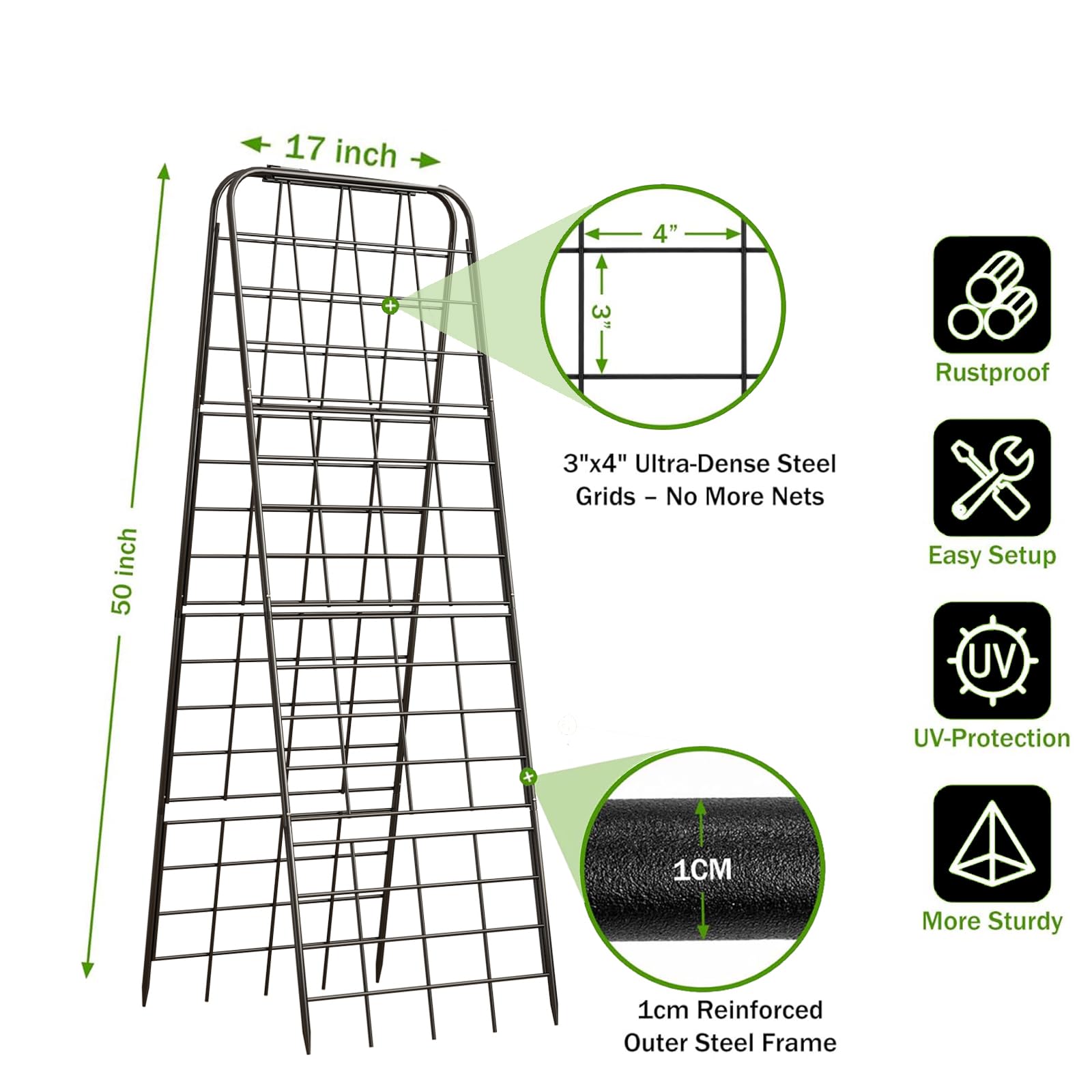 Alxcellion trellis showing adjustable height feature