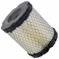 AM116304 Fuel Filter from John Deere Maintenance Kit