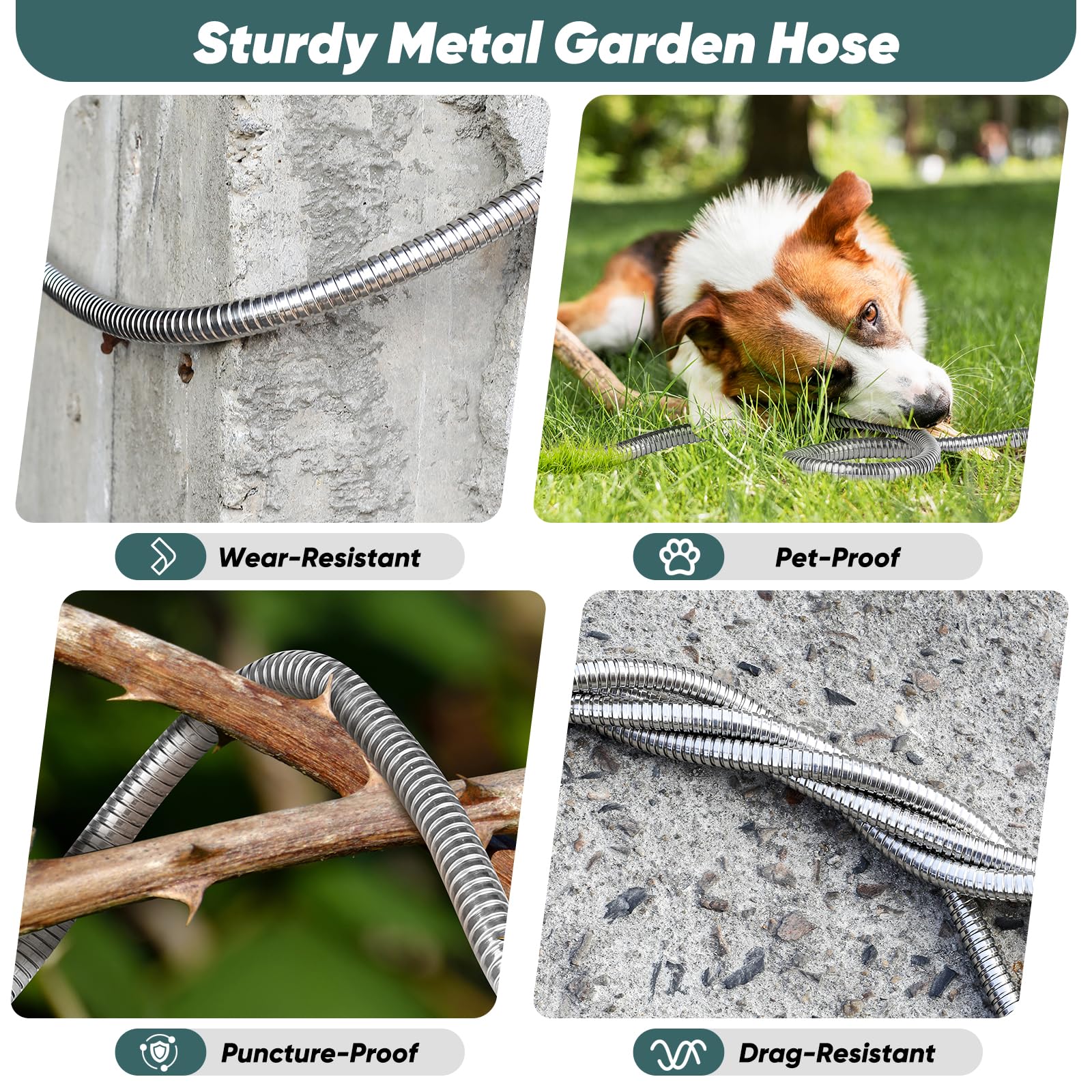 Amayrose garden hose showcasing its kink-free design