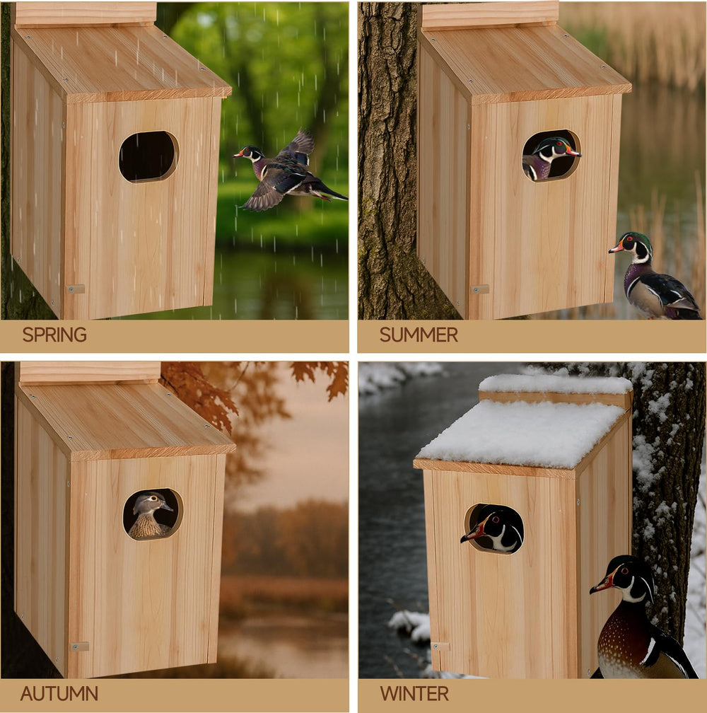 Amcortn Duck House components including wooden boards and screws