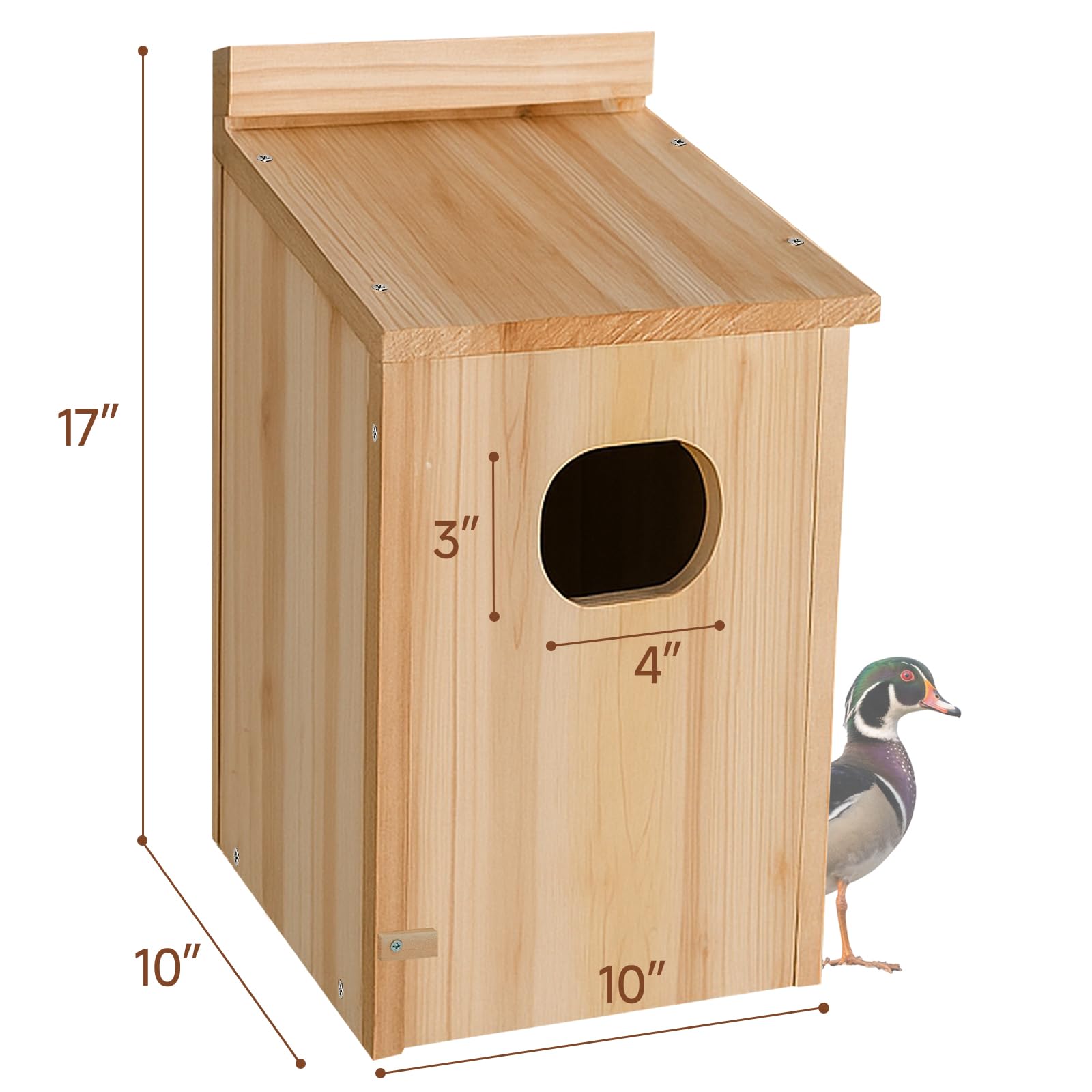 Amcortn Duck House fully assembled in outdoor setting