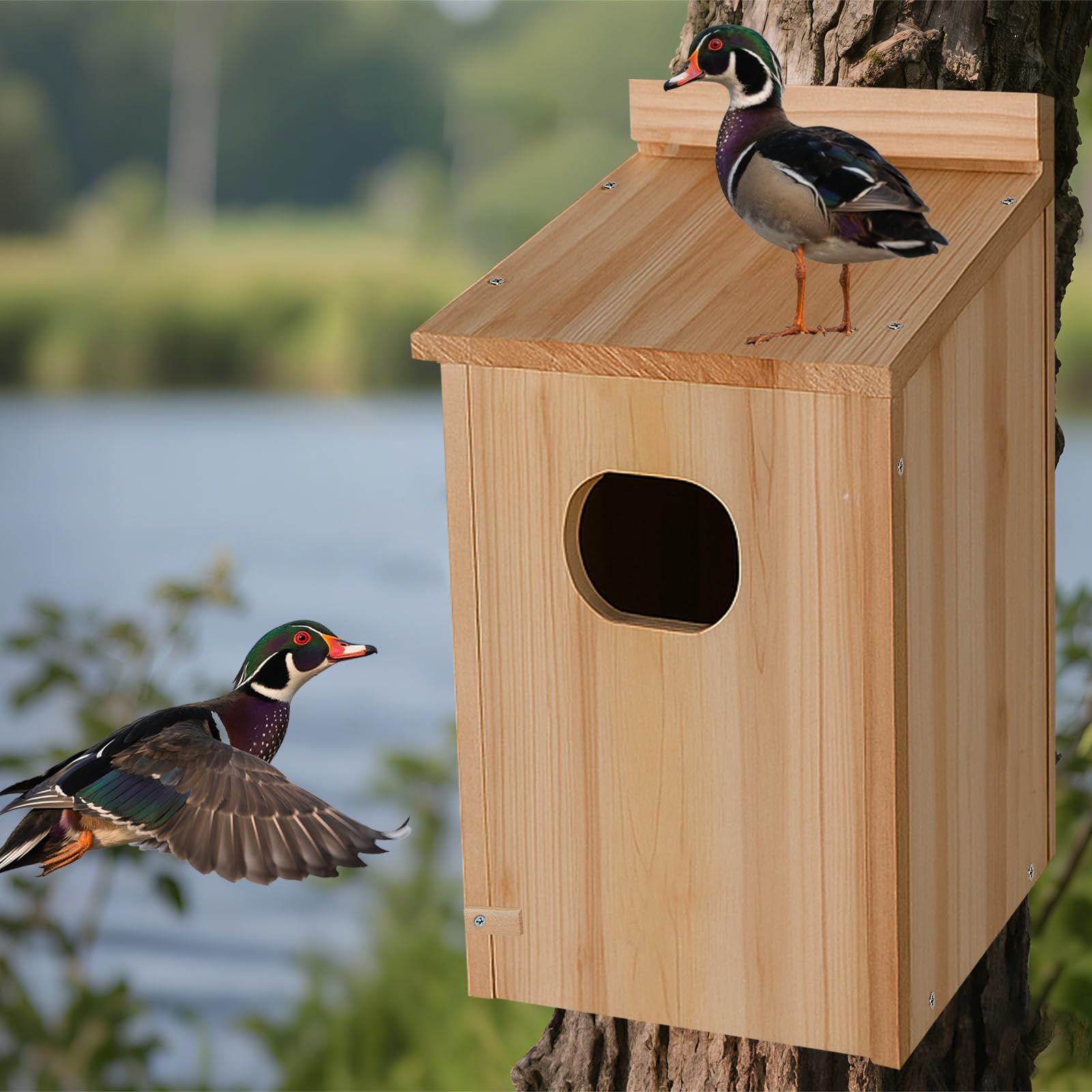 Amcortn Duck House in a garden environment
