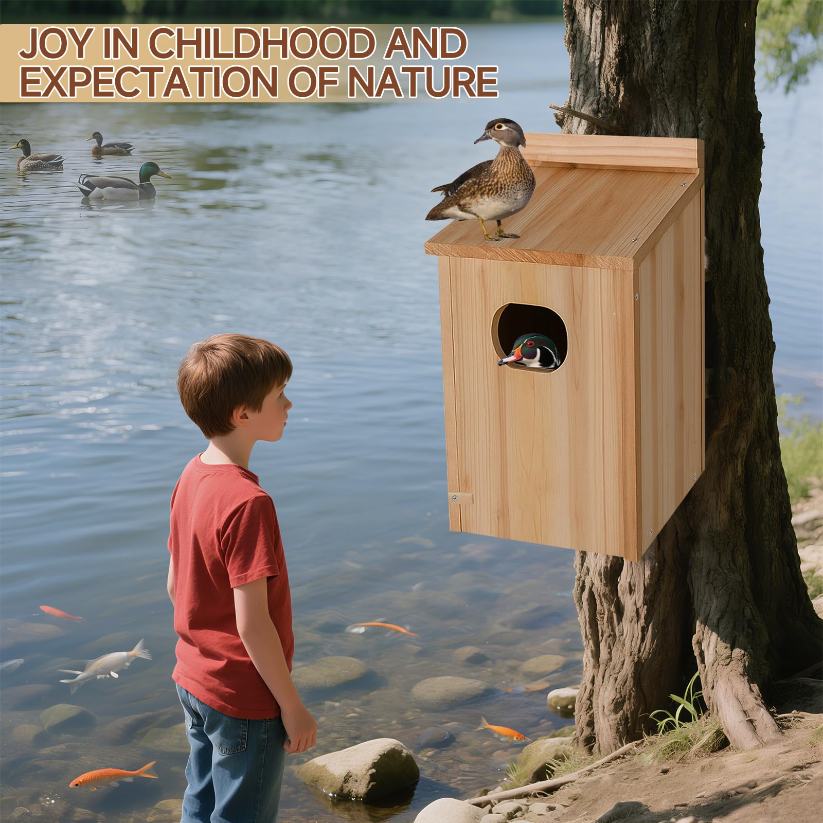 Amcortn Duck House with ducklings exploring nearby