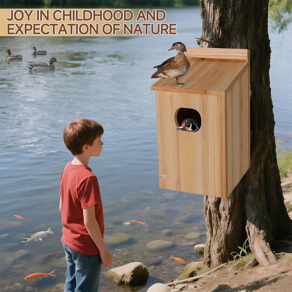 Amcortn Duck House with ducklings exploring nearby