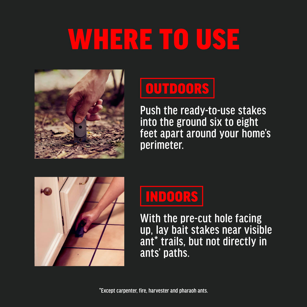 Amdro Ant Killer Bait Stations usage scenario indoors