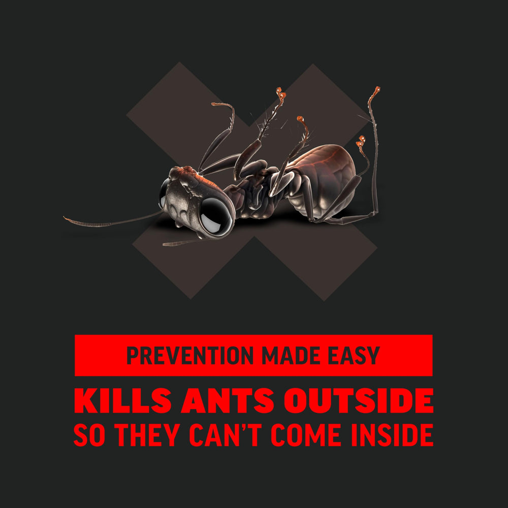 Amdro Ant Killer product information and details