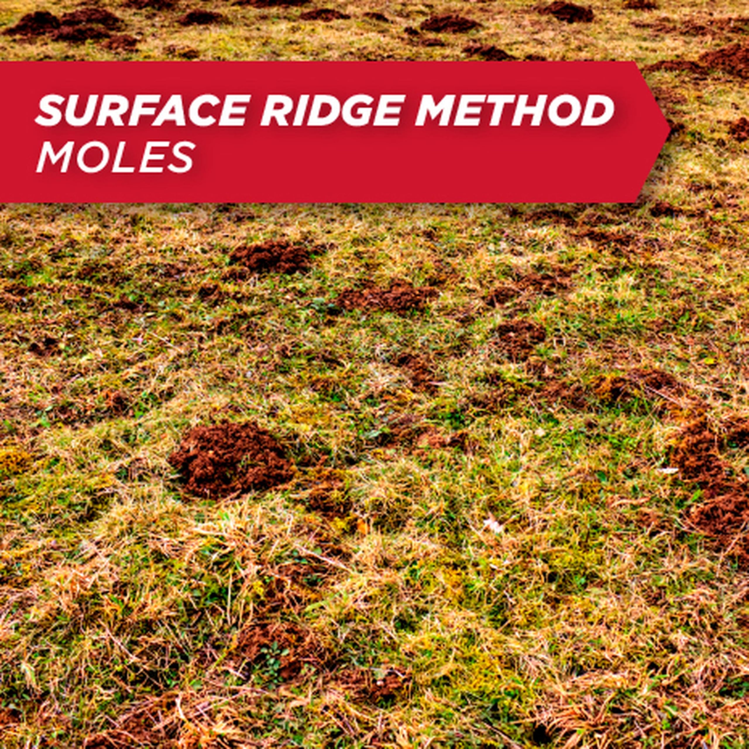 Amdro Gopher & Mole Bait being applied in a burrow