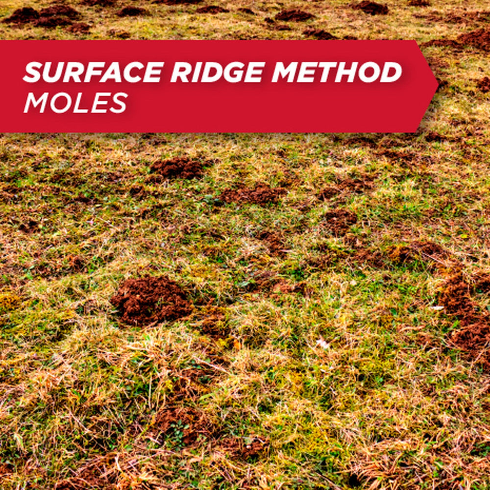 Amdro Gopher & Mole Bait being applied in a burrow