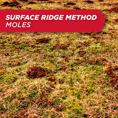 Amdro Gopher & Mole Bait being applied in a burrow