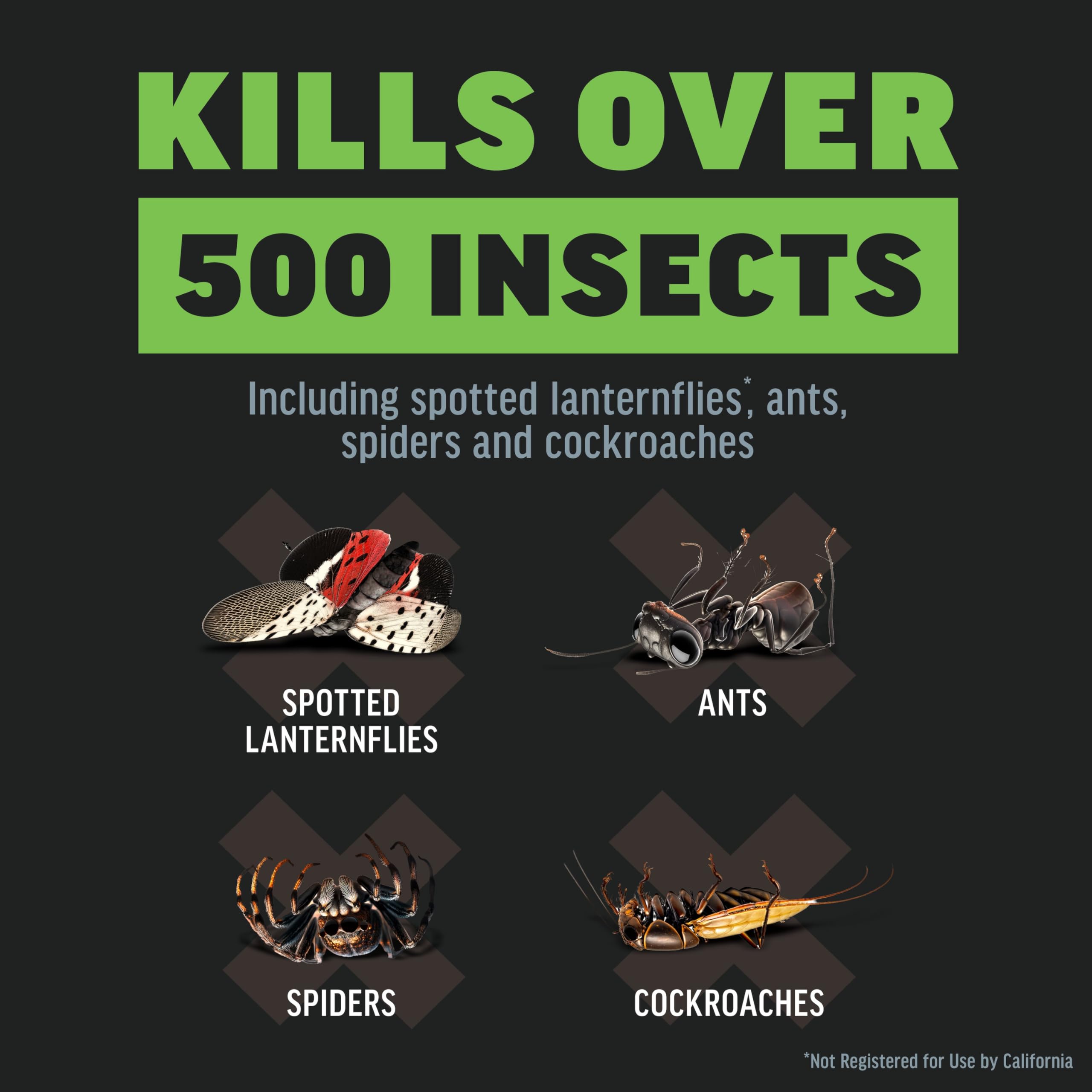 Amdro Quick Kill Insect Killer Spray application on lawn
