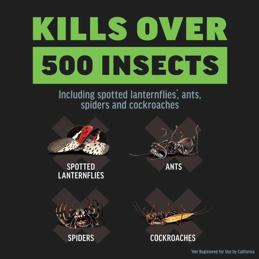 Amdro Quick Kill Insect Killer Spray application on lawn