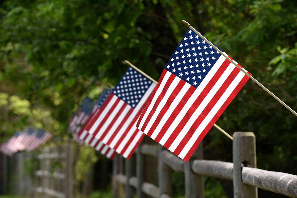 American flag on a birch wooden stick