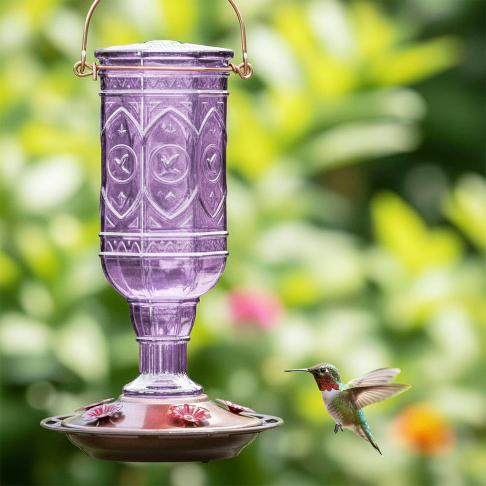 Amethyst Jewel Hummingbird Feeder with a clear view of the vintage design