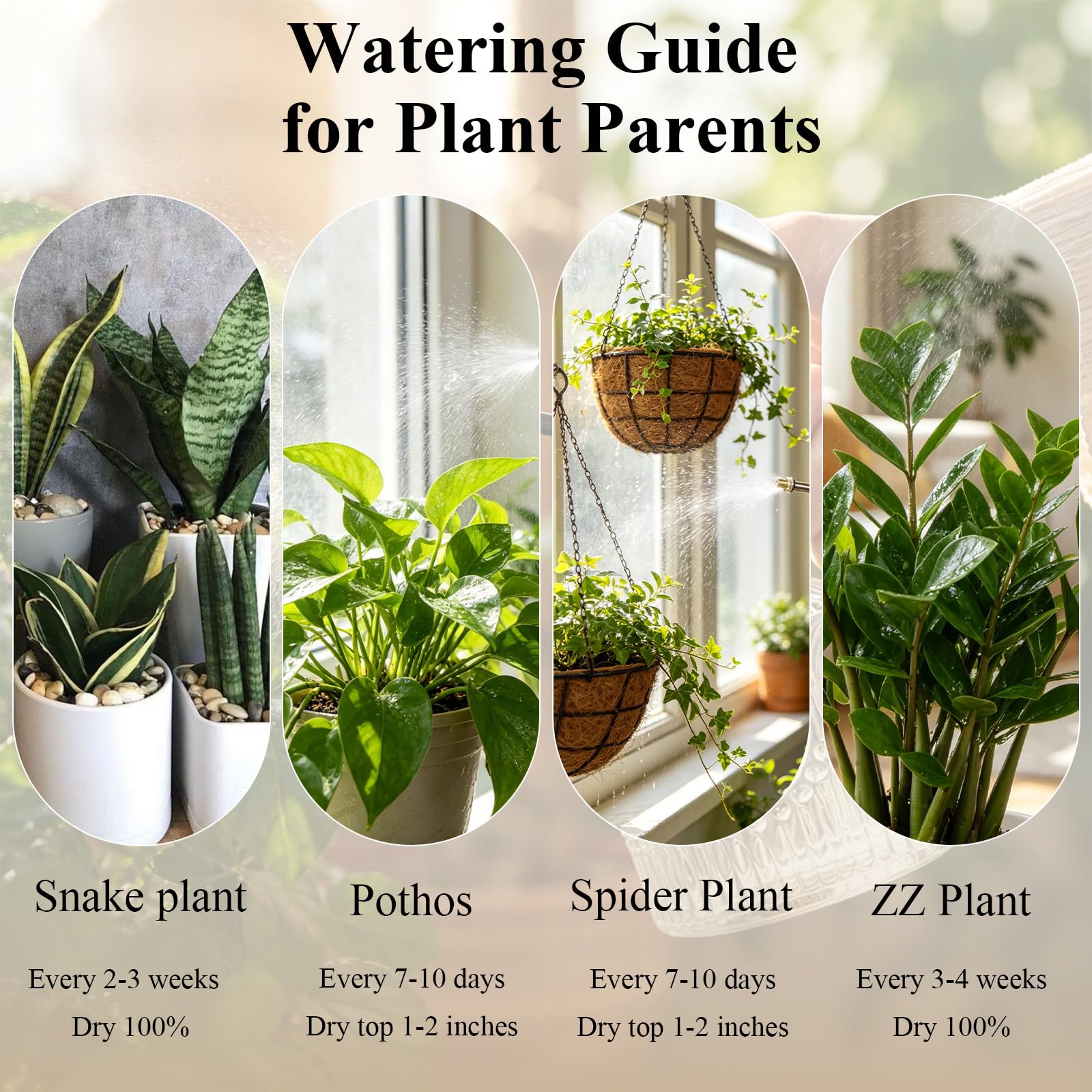Amolliar Glass Plant Mister Spray Bottle in a home setting