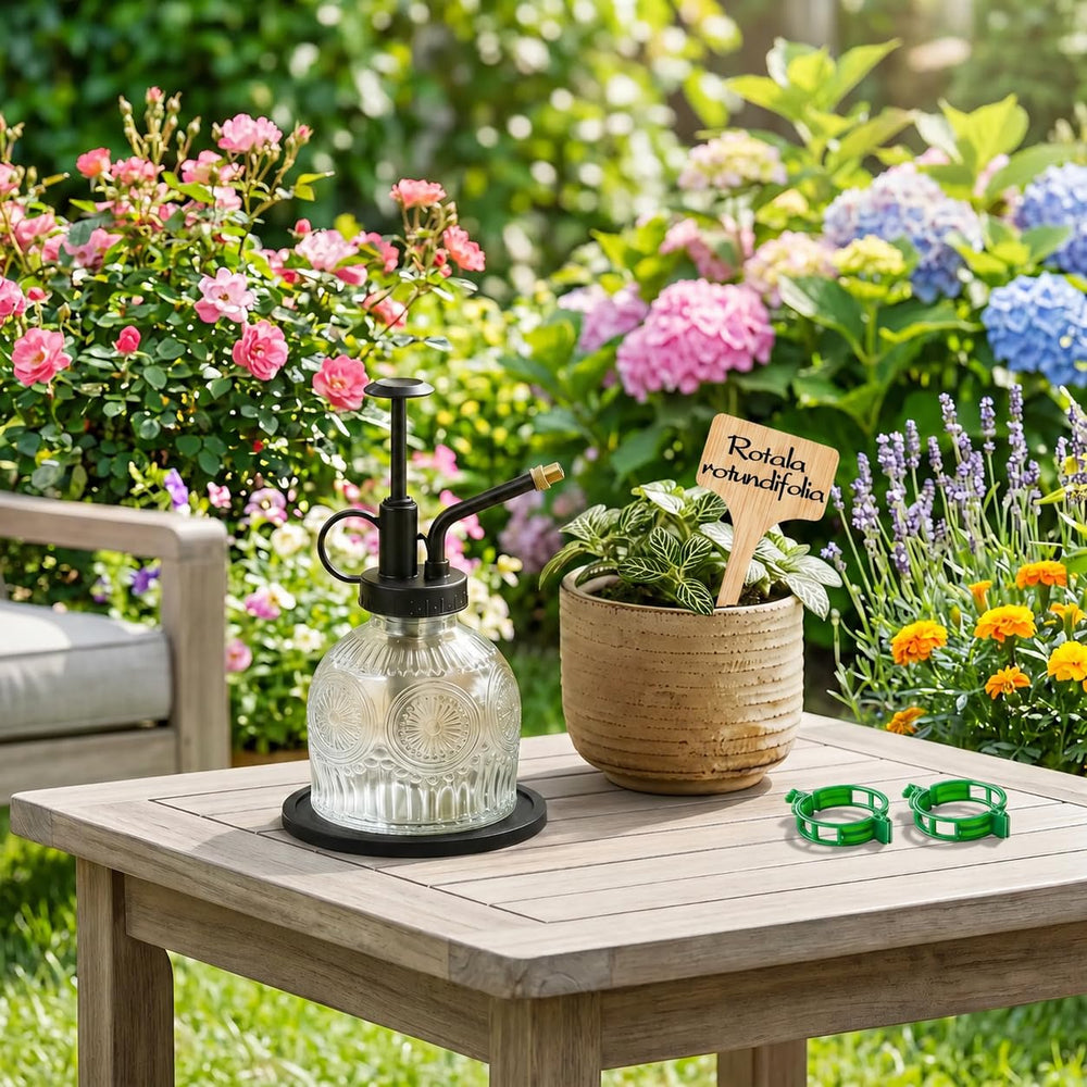 Amolliar Glass Plant Mister Spray Bottle on a table with plants