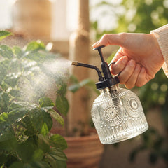 Amolliar Glass Plant Mister Spray Bottle side view
