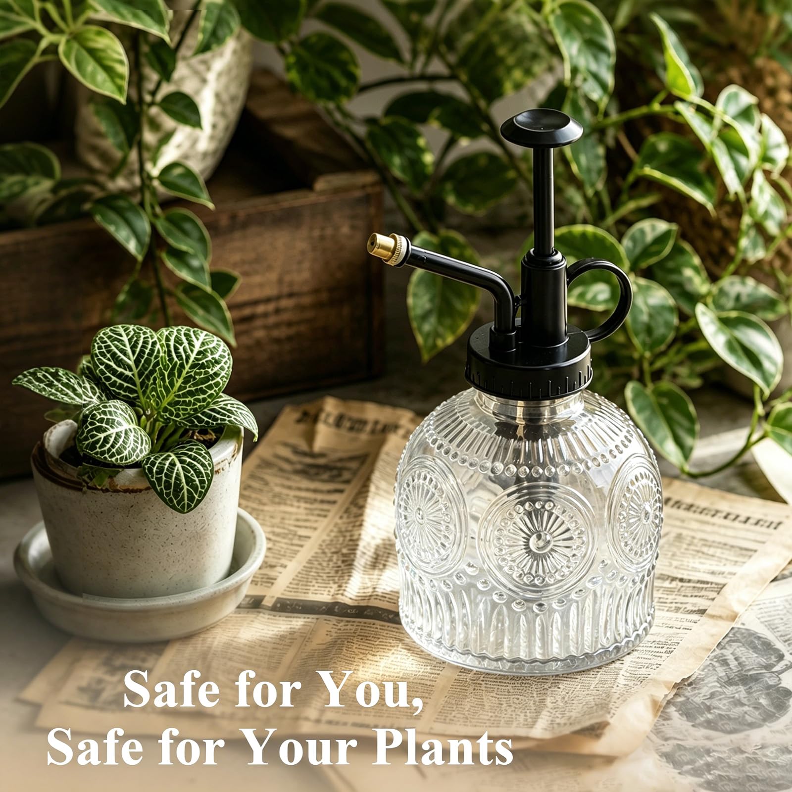 Amolliar Glass Plant Mister Spray Bottle with clear glass design