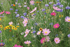 Amturf Wildflower Garden Blanket rolled out in a garden setting