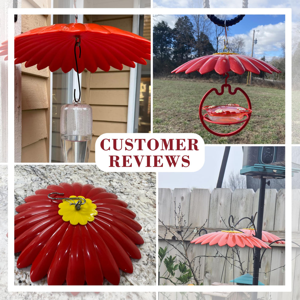 andergi 13.5-inch Flower Rain Guard side view showing petal shape