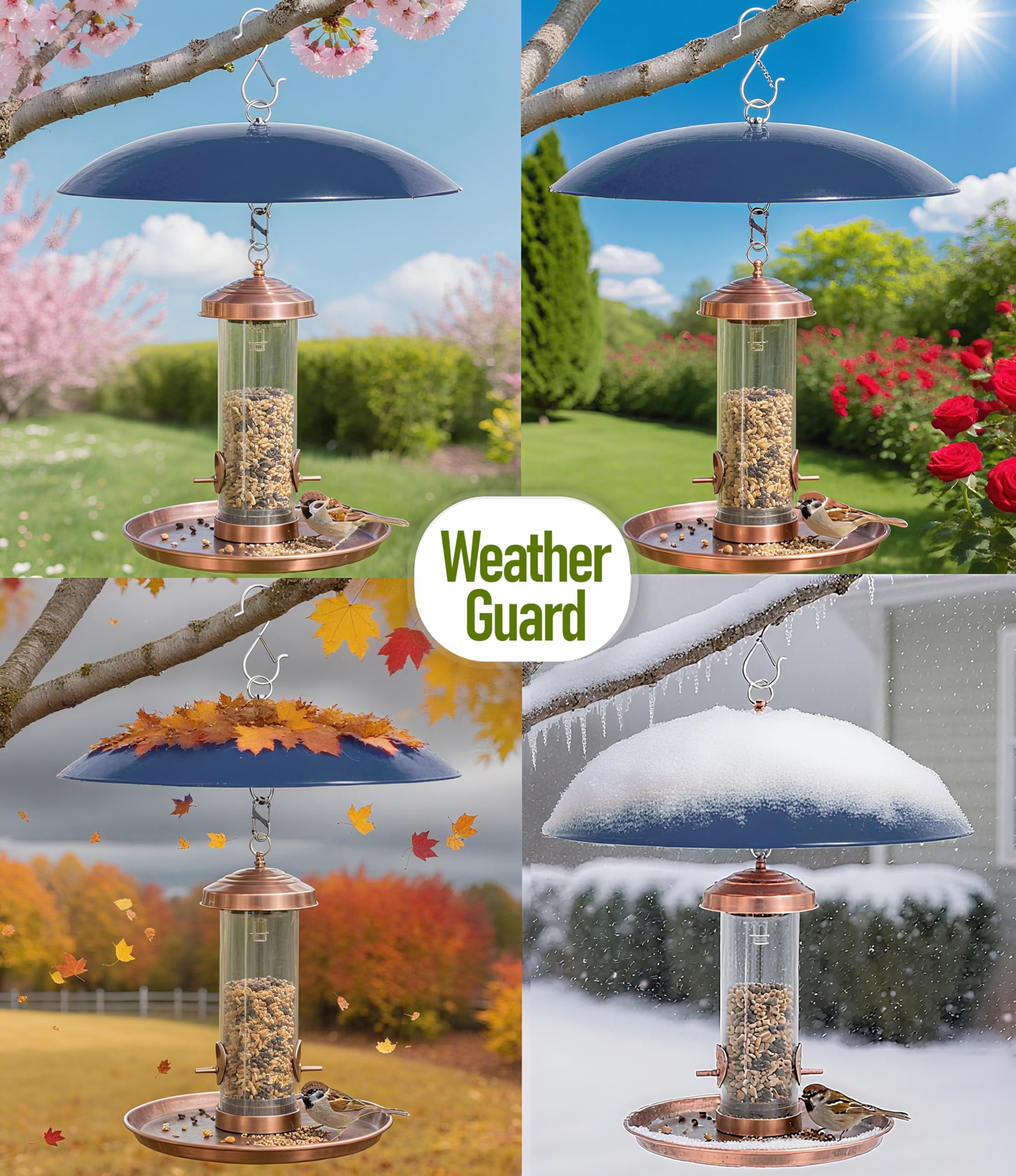 andergi Bird Feeder Dome Cover in Outdoor Garden