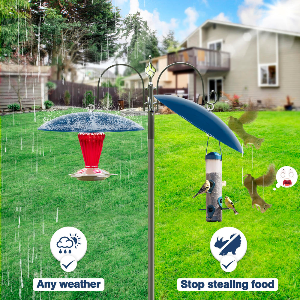 andergi Bird Feeder Dome Guard in a garden setting