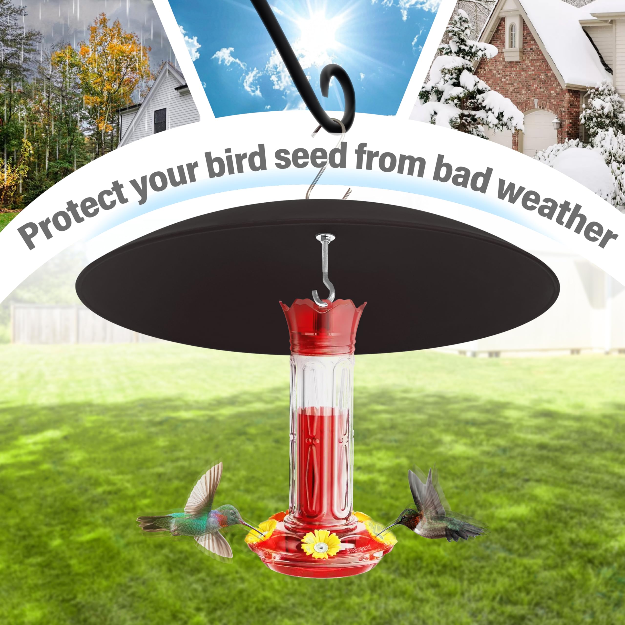 andergi Bird Feeder Rain Guard hanging in a garden setting