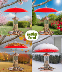andergi Hummingbird Feeder Dome Guard side view with hooks