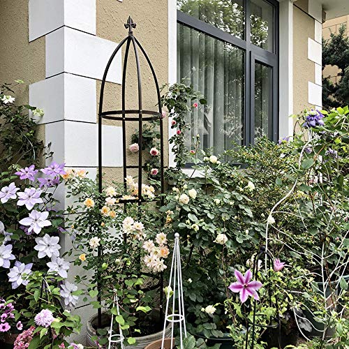 AngyangguoJi Garden Arch Trellis assembled in garden setting