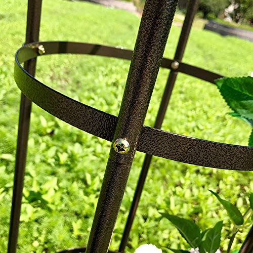 AngyangguoJi Garden Arch Trellis showing height and structure