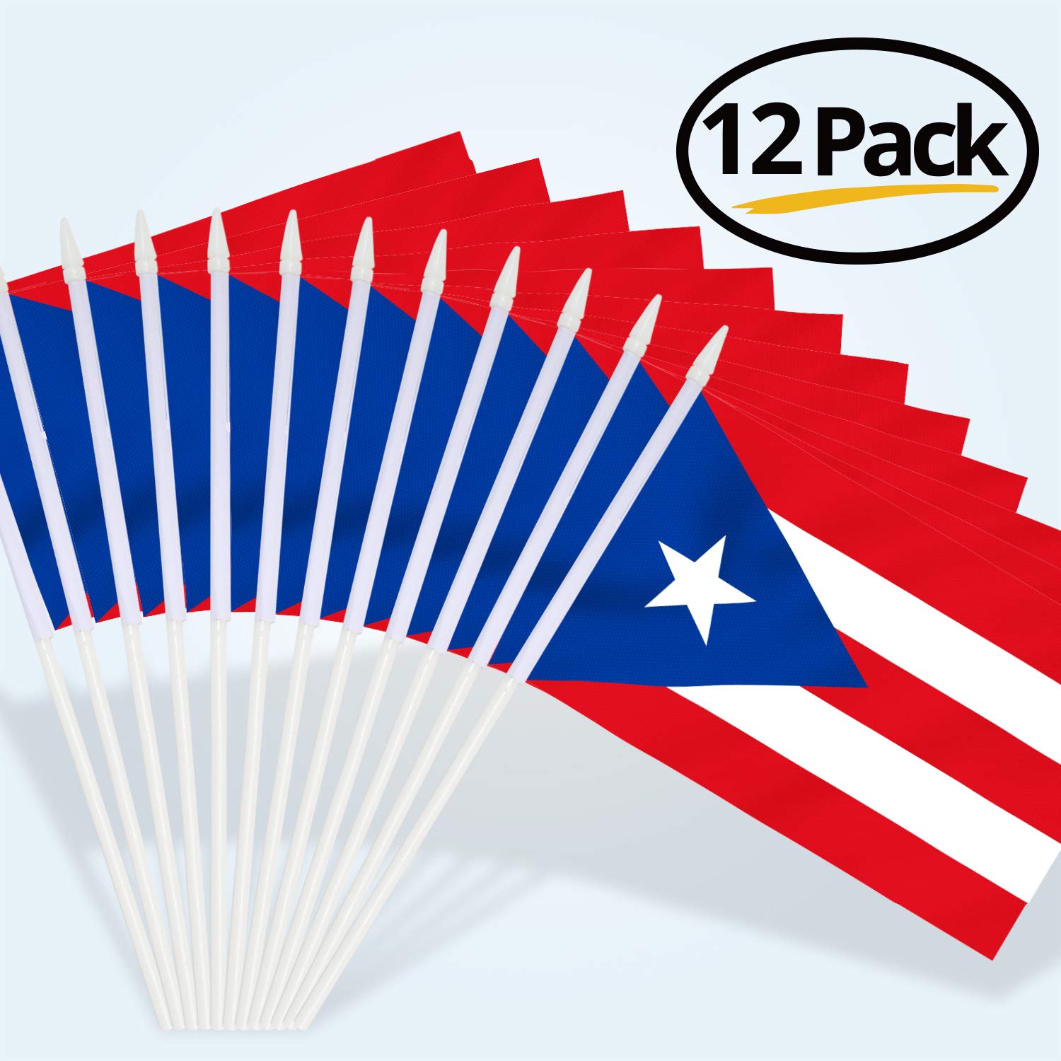 Anley Puerto Rico Mini Flag held in hand