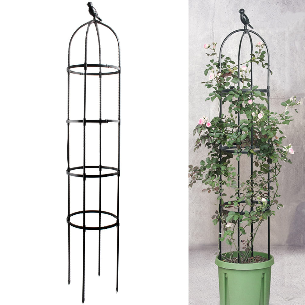 Anothera 6ft Garden Obelisk Trellis front view with climbing plants